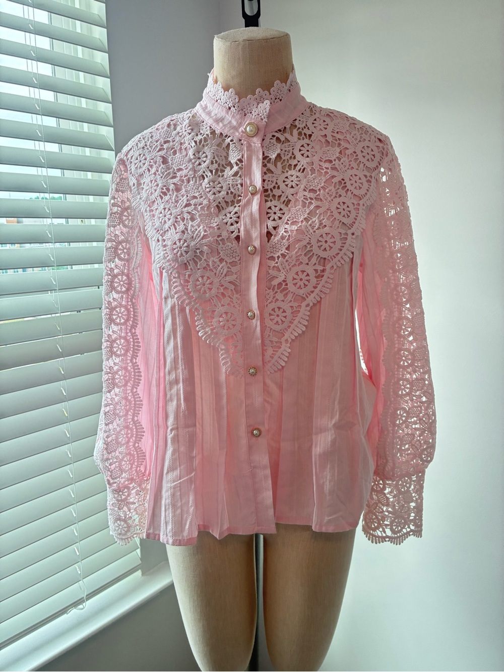 Victorian-Inspired Women's Pink Applique Long Sleeve Blouse